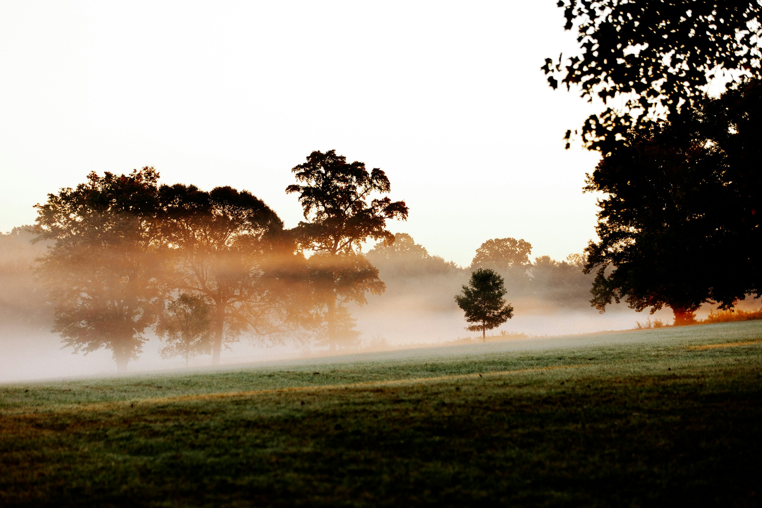 Le parcours du Golf du Château d'Avoise au lever du jour, fairways entre forêt et brume