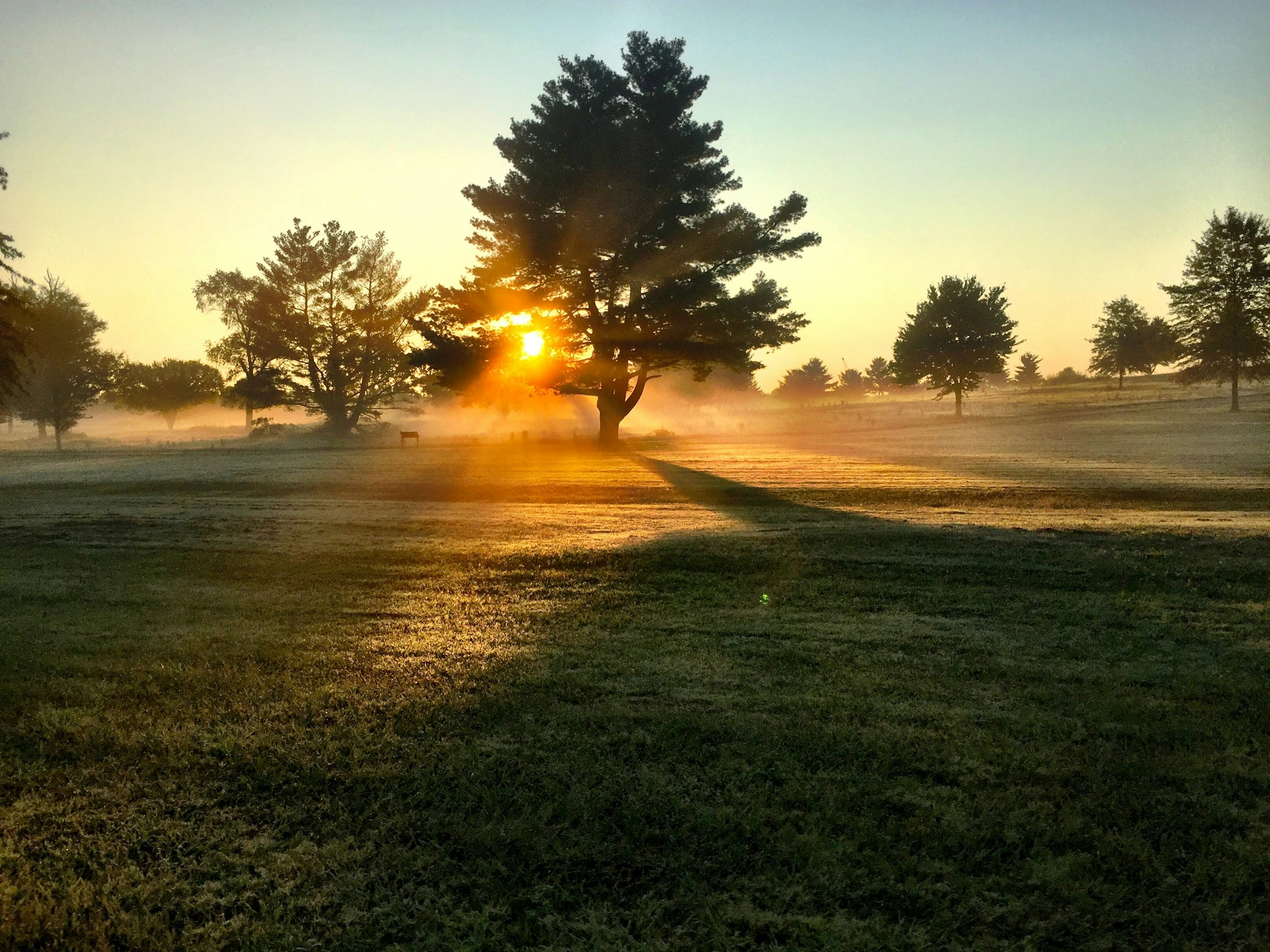 Vue d'ensemble du parcours au matin, fairways entre forêts et étangs