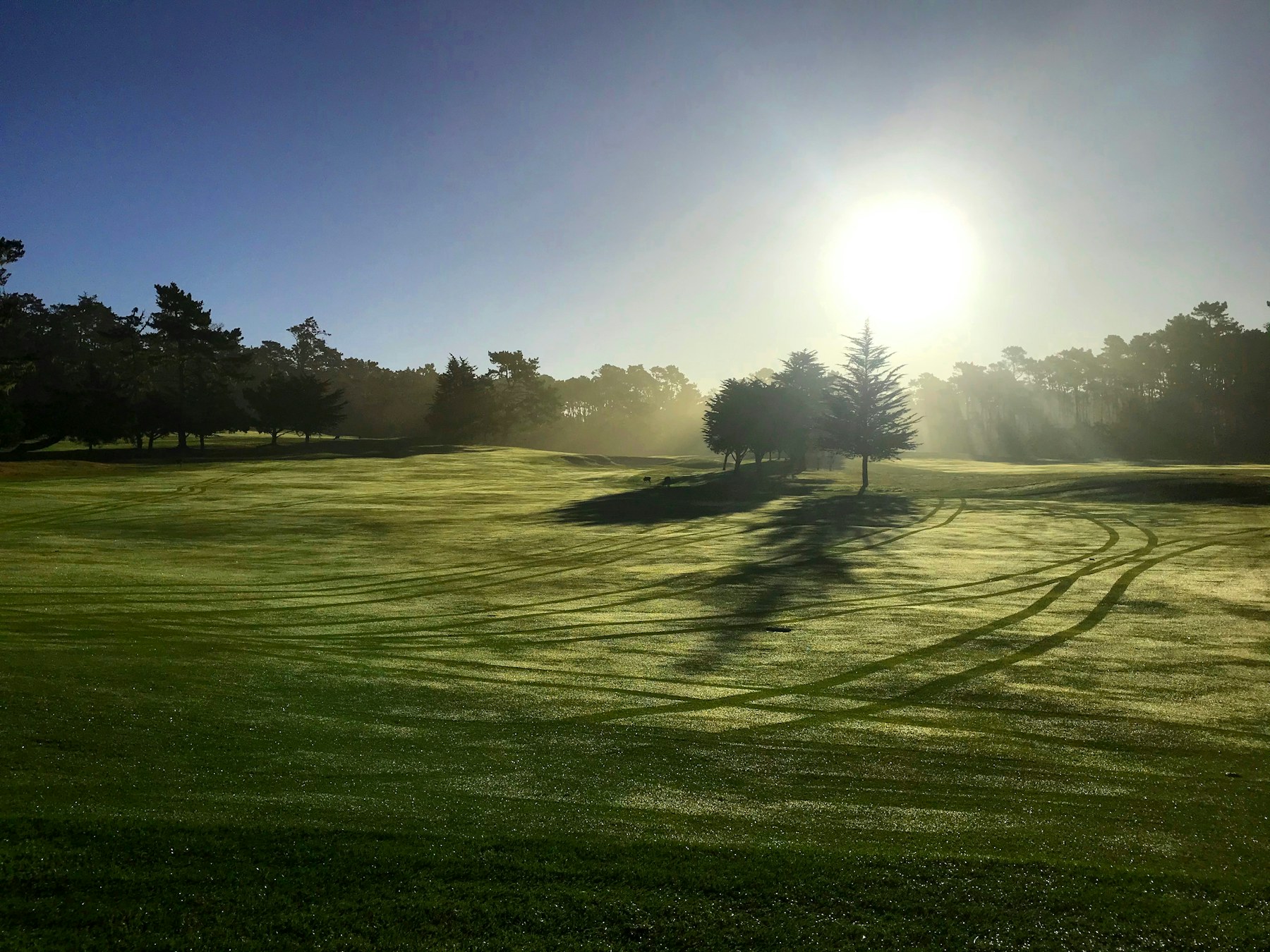 Le green du trou 1 au petit matin, dans la brume qui se lève