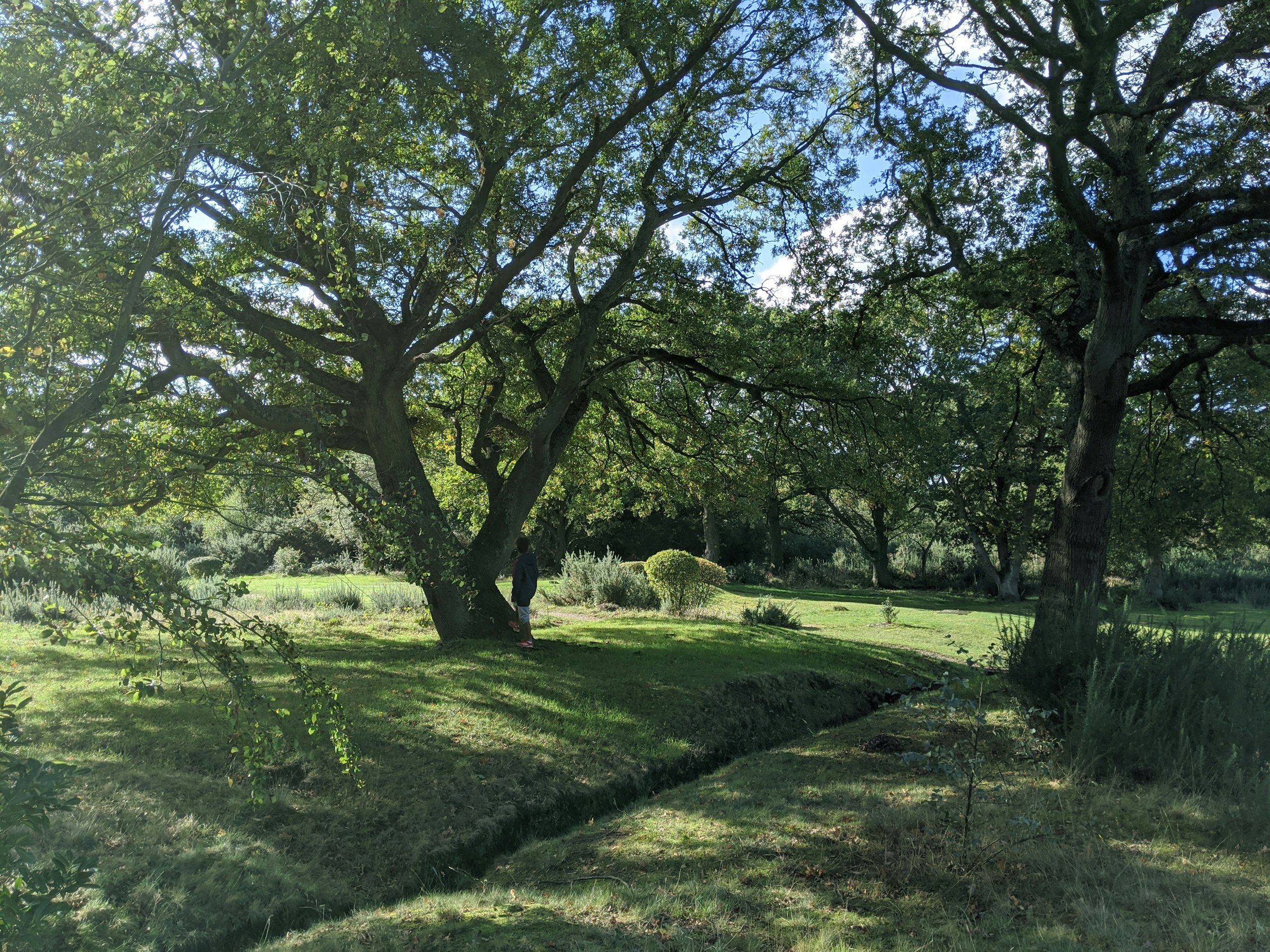 Le départ du trou 1, fairway bordé de chênes centenaires dans la lumière du matin