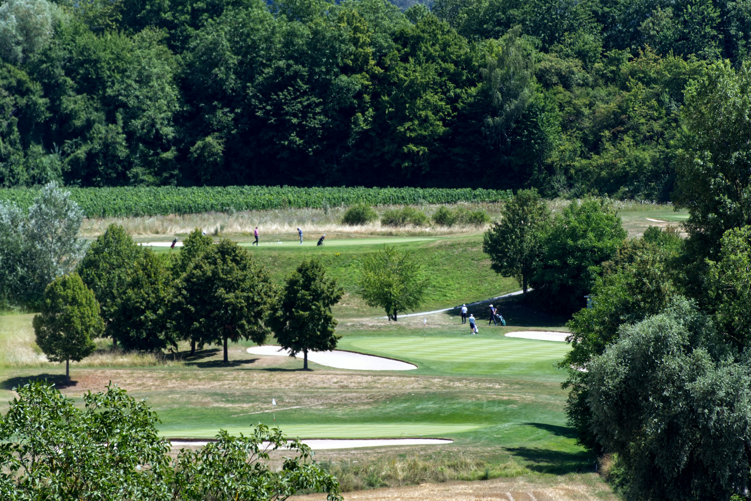 Le fairway montant du trou 5 entre ses bunkers, vers un green en plateau