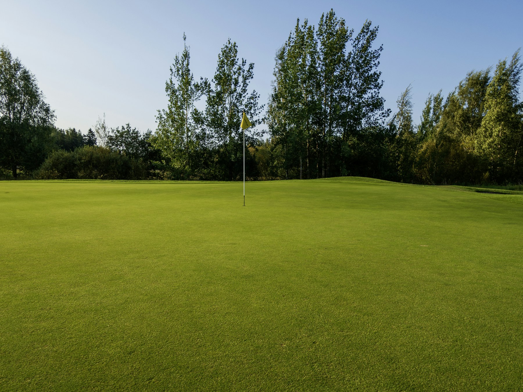 Le green en montée du trou 7, drapeau au fond
