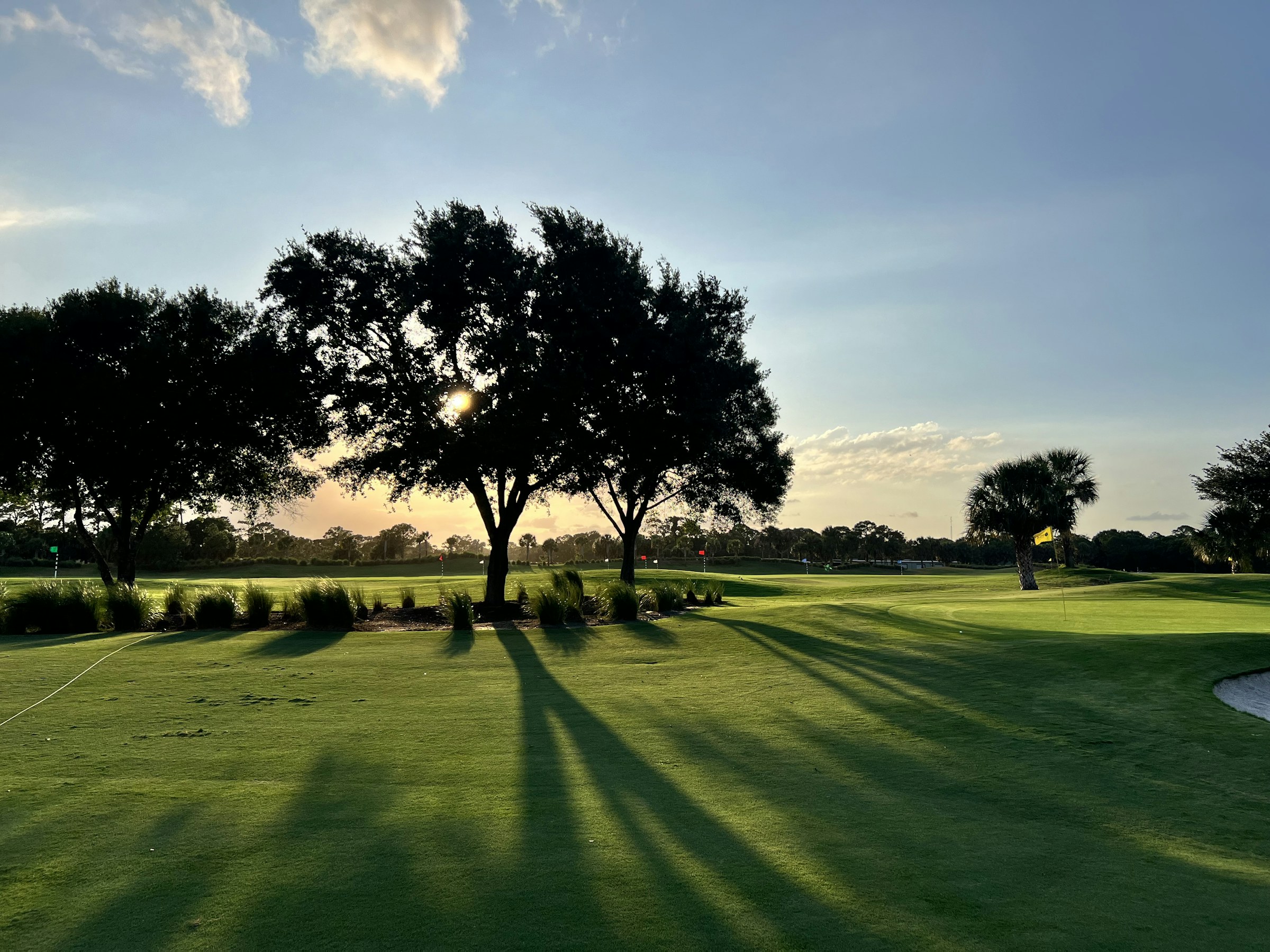 Le fairway du trou 7 et son green profond adossé aux arbres