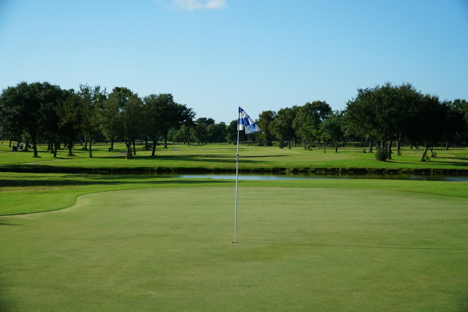 Le green du trou 8 et son drapeau, arbres en arrière-plan