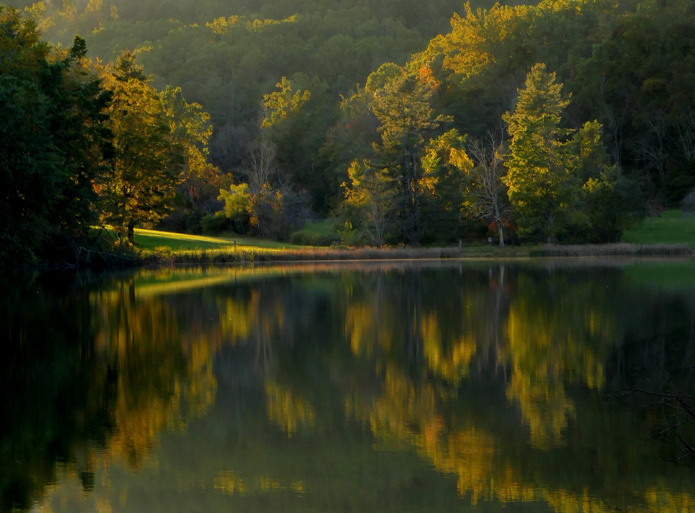 Le par 3 signature du trou 11 au-dessus de l'étang, forêt en arrière-plan