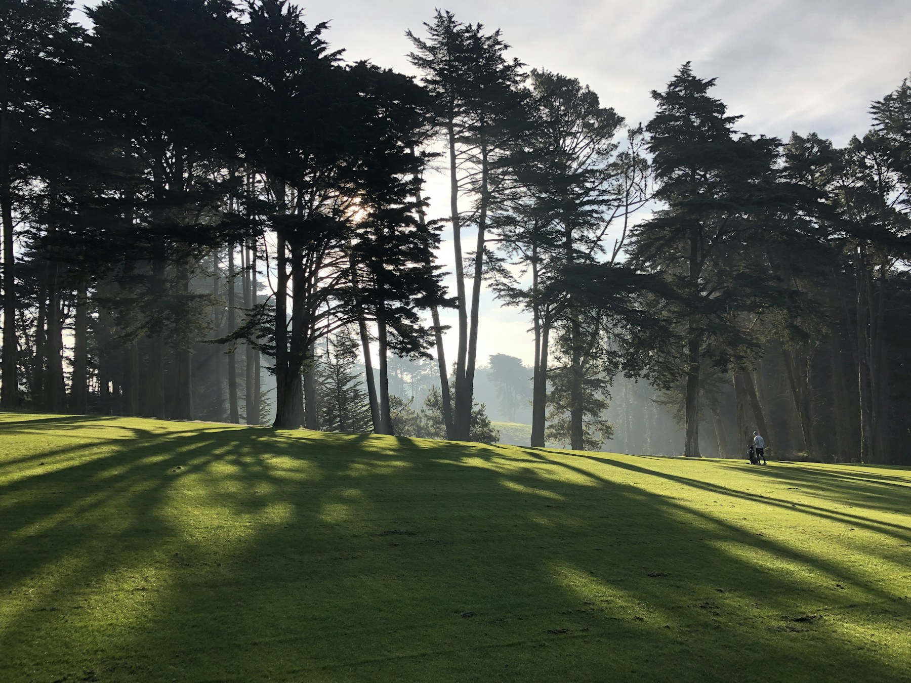 Les hautes futaies qui bordent le green du trou 12