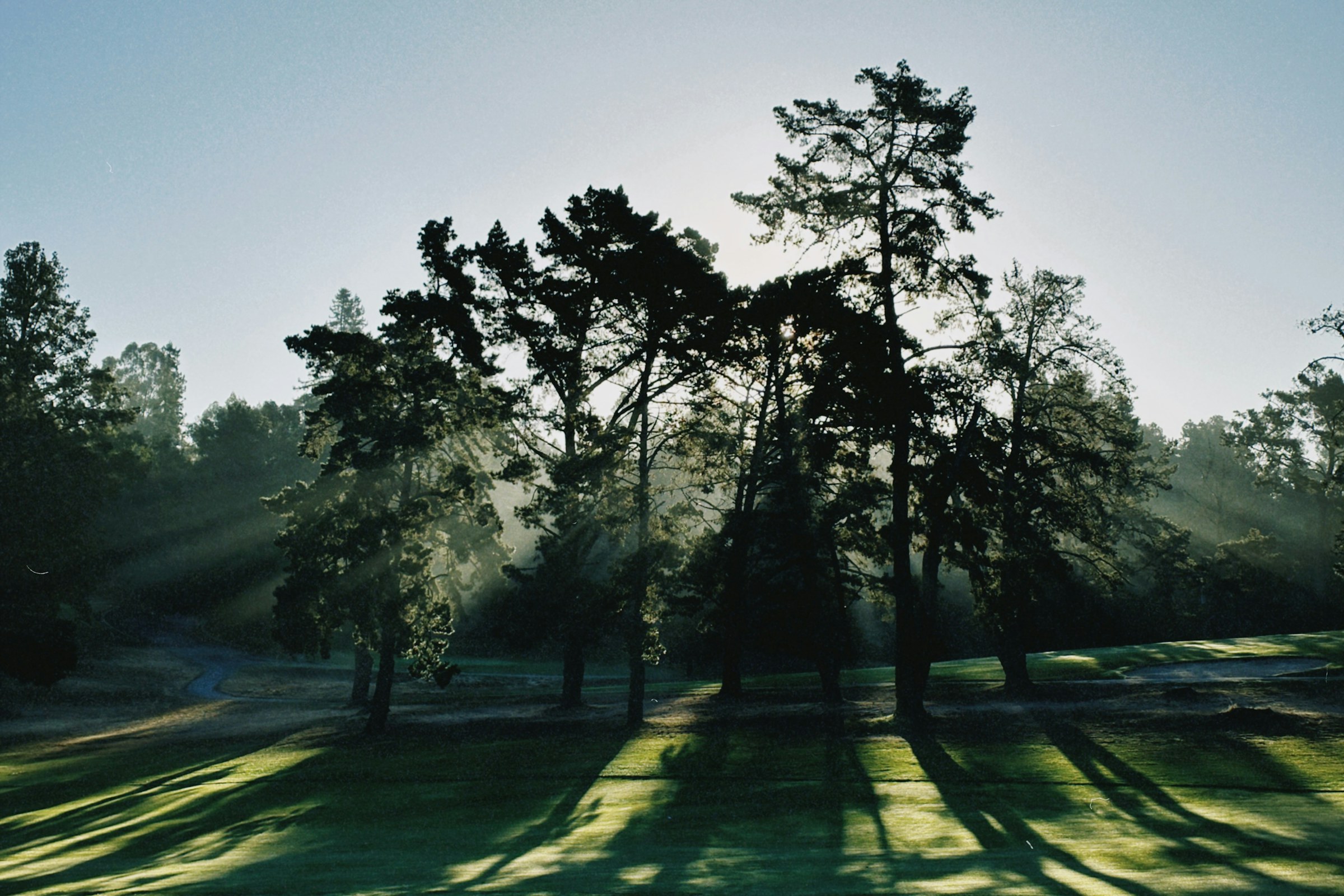 Le trou 12 sous les grands arbres, lumière oblique entre les troncs