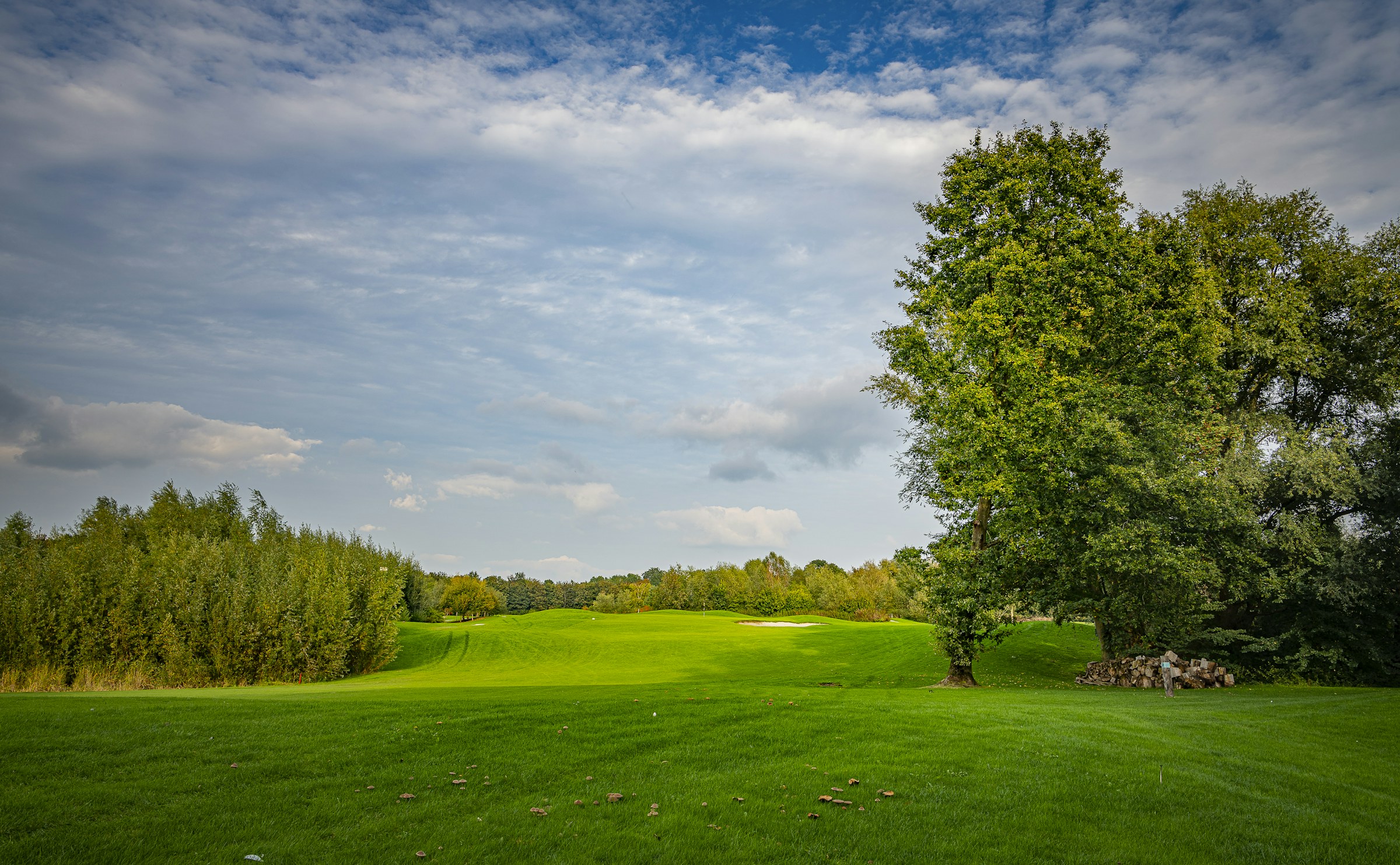 Le green en descente du trou 16, ouvert sur la prairie