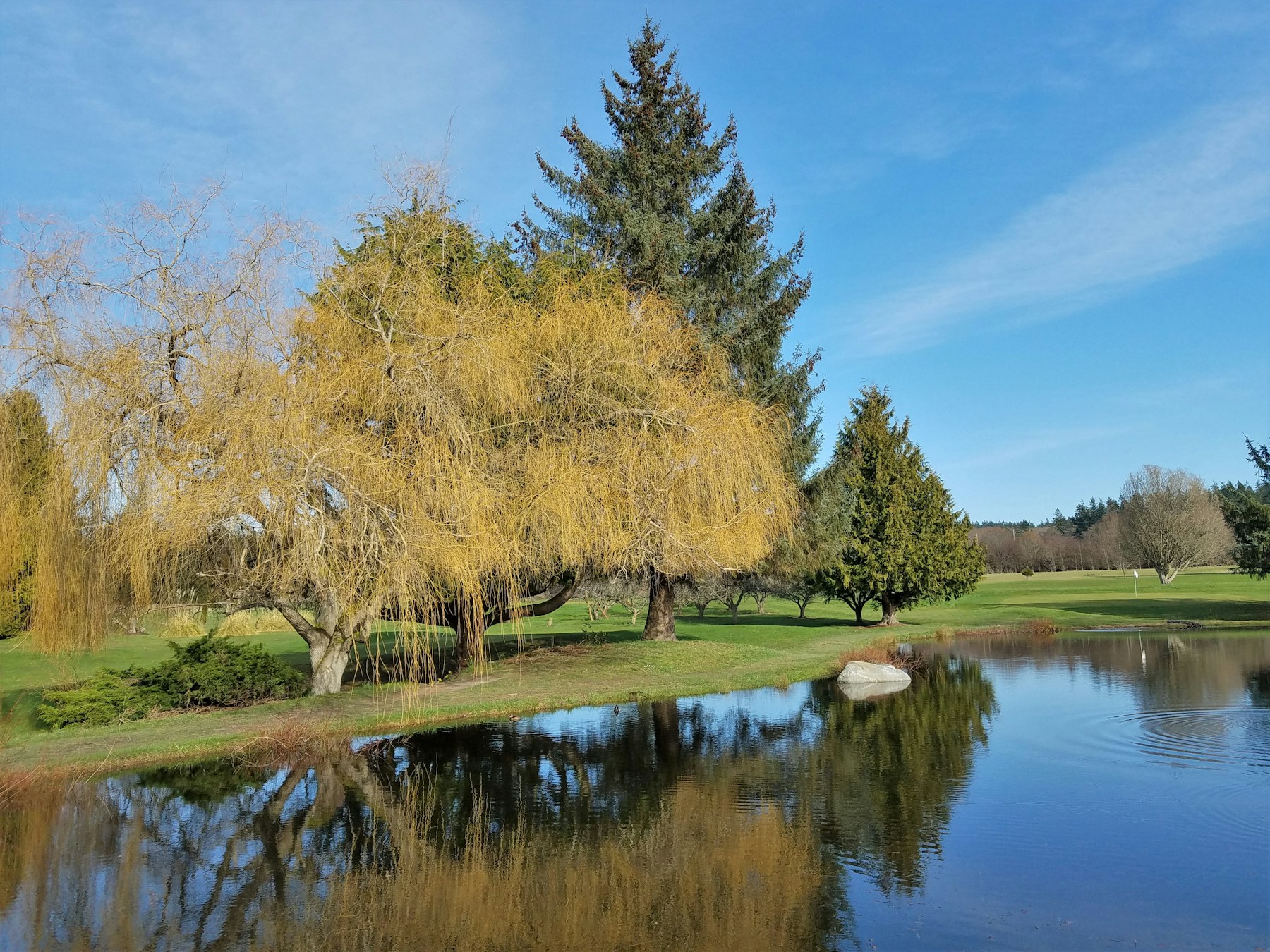 Reflets des arbres sur l'obstacle d'eau devant le green du trou 17
